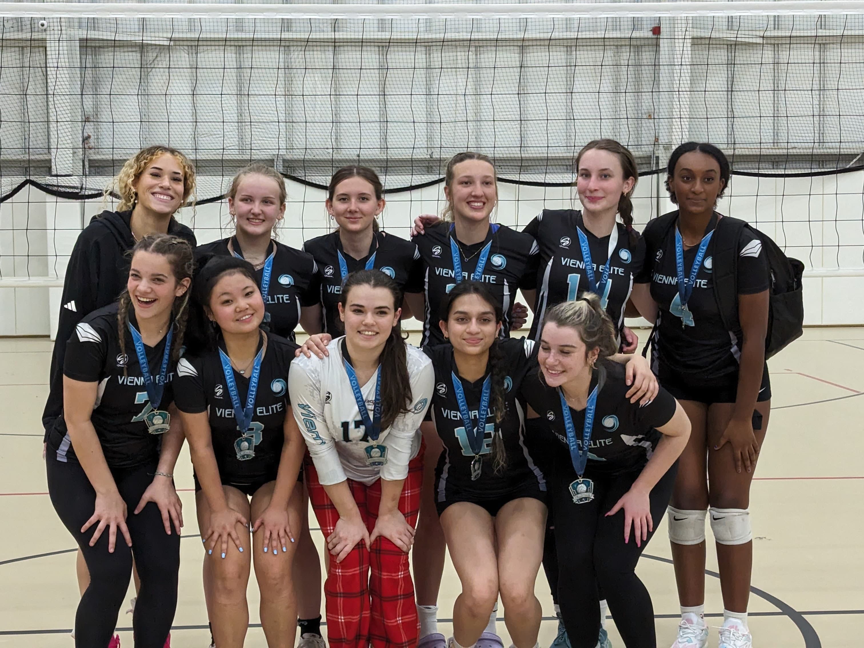 MVSA Gold Runner-Up